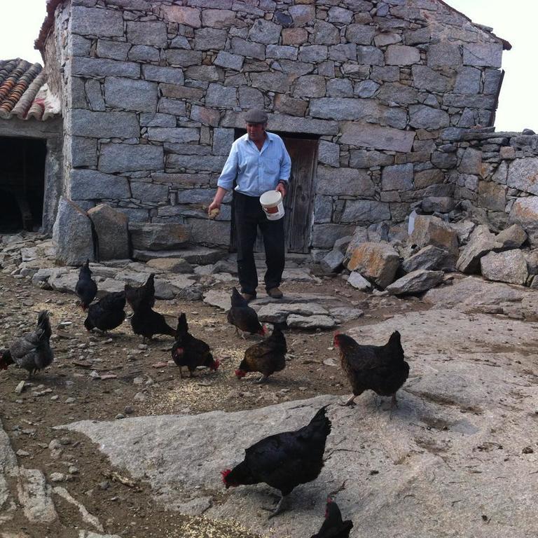 Casa Rural El Linaje De Los Cinco Sombreros Gallegos De San Vicente エクステリア 写真